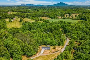 636 Bryant Mill Rd, Ararat, NC 27007 - Photo 32