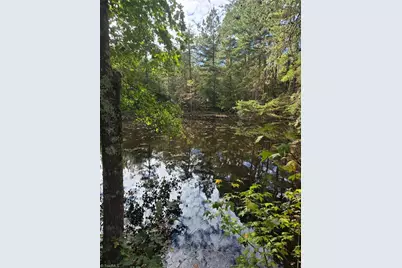 0 Bass Mountain Road, Snow Camp, NC 27349 - Photo 6