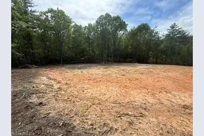 00 Chestnut Mountain Farms Parkway, McGrady, NC 28649 - Photo 1