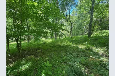 248 Wiley Reynolds Road, Millers Creek, NC 28651 - Photo 24