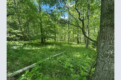 248 Wiley Reynolds Road, Millers Creek, NC 28651 - Photo 22