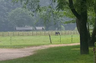 000 Wild Turkey Rd, Ferguson, NC 28624 - Photo 1