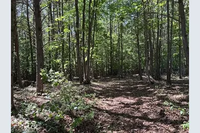 186 Fisher Valley Road, Dobson, NC 27017 - Photo 32