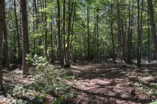 186 Fisher Valley Rd, Dobson, NC 27017 - Photo 32