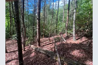 Lot 19 Fawn Lane, Hayes, NC 28635 - Photo 2