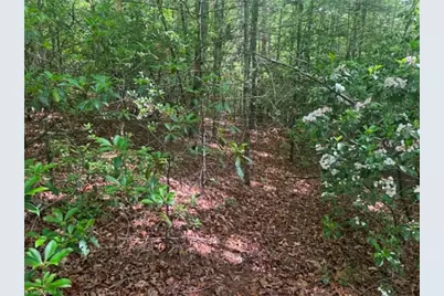 Lot 19 Fawn Lane, Hayes, NC 28635 - Photo 14