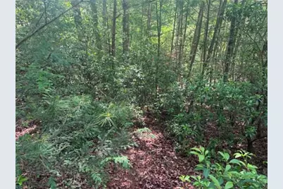 Lot 19 Fawn Lane, Hayes, NC 28635 - Photo 8