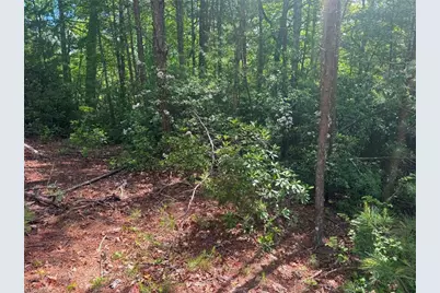 Lot 19 Fawn Lane, Hayes, NC 28635 - Photo 4