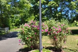 2285 Locust Grove Rd, Mount Airy, NC 27030 - Photo 30