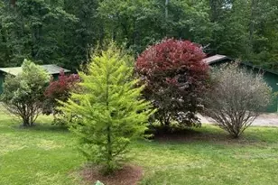 2285 Locust Grove Rd, Mount Airy, NC 27030 - Photo 24