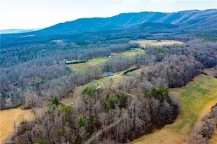 251 Devotion Farm Wy, Thurmond, NC 28683 - Photo 48