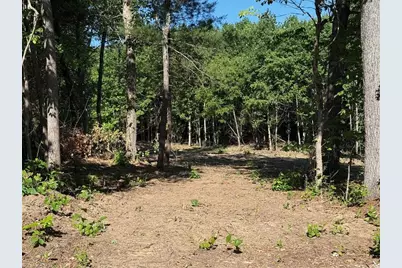 000 Parks Ridge Road, Wilkesboro, NC 28697 - Photo 2
