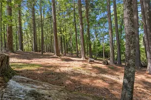 154 Folger Rd, Sparta, NC 28675 - Photo 28