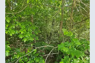 Lot 1 Ashland Lane, Wilkesboro, NC 28697 - Photo 4