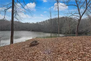 1036 Butter Rd, Reidsville, NC 27320 - Photo 22