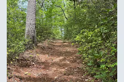 0000 N Old Nc Highway 16, Millers Creek, NC 28651 - Photo 28