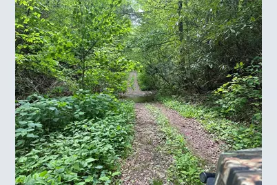 0000 N Old Nc Highway 16, Millers Creek, NC 28651 - Photo 10