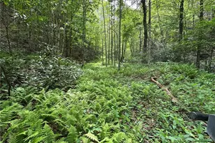 0000 N Old Nc Hwy 16, Millers Creek, NC 28651 - Photo 1