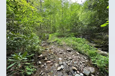 0000 N Old Nc Highway 16, Millers Creek, NC 28651 - Photo 24