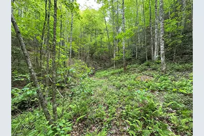 0000 N Old Nc Highway 16, Millers Creek, NC 28651 - Photo 26