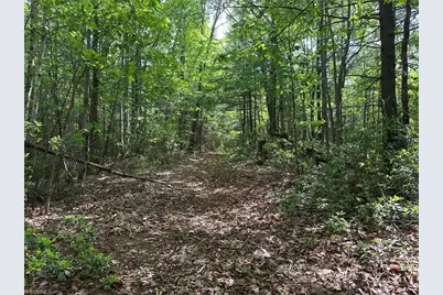 0000 N Old Nc Highway 16, Millers Creek, NC 28651 - Photo 32