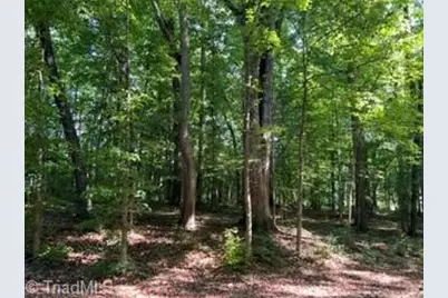 0 Elm Street, Mocksville, NC 27028 - Photo 4