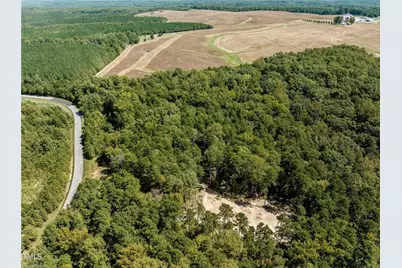 17.03 Ac 0 New Mayo Drive, Roxboro, NC 27574 - Photo 6