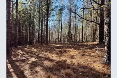 11901 Nc Highway 86, Prospect Hill, NC 27314 - Photo 4
