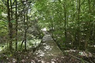 3168 Benny Lineberry Rd, Climax, NC 27233 - Photo 26