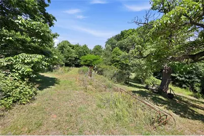 3168 Benny Lineberry Road, Climax, NC 27233 - Photo 46