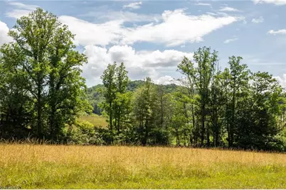 Tbd Shingle Gap Road, Purlear, NC 28665 - Photo 2
