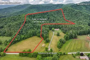 Tbd Shingle Gap Rd, Purlear, NC 28665 - Photo 1