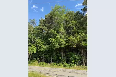 0 Jessie Bridges Road, Siler City, NC 27344 - Photo 6