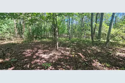 552 Tom Hunter Road, Pilot Mountain, NC 27041 - Photo 34