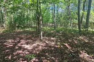 552 Tom Hunter Rd, Pilot Mountain, NC 27041 - Photo 34