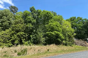 270 Della Wilson Rd, Lexington, NC 27295 - Photo 1