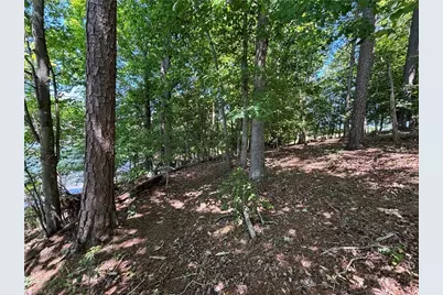 145 Beacon Ridge Drive, Stony Point, NC 28678 - Photo 6
