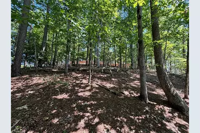 145 Beacon Ridge Drive, Stony Point, NC 28678 - Photo 8