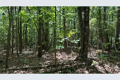000 Idlewild Drive, Hays, NC 28635 - Photo 24