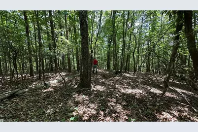 000 Idlewild Drive, Hays, NC 28635 - Photo 4