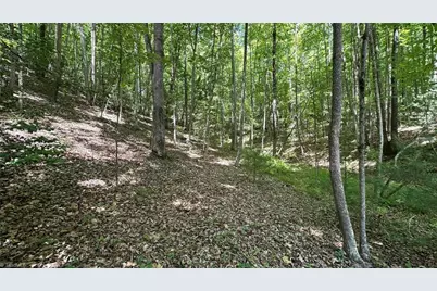 000 Idlewild Drive, Hays, NC 28635 - Photo 12