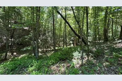 000 Idlewild Drive, Hays, NC 28635 - Photo 16