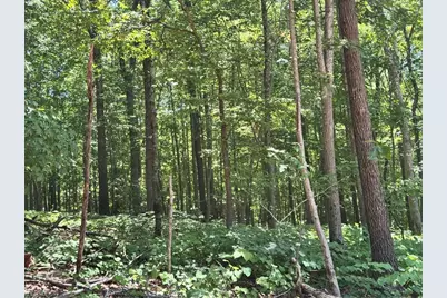 808 Neely Road, Asheboro, NC 27205 - Photo 14