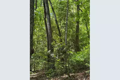 8186 Old 60, Roaring River, NC 28697 - Photo 32