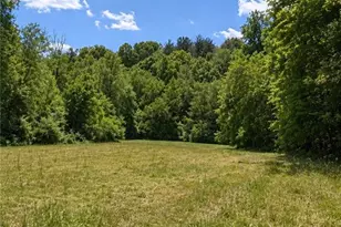 8186 Old 60, Roaring River, NC 28697 - Photo 6