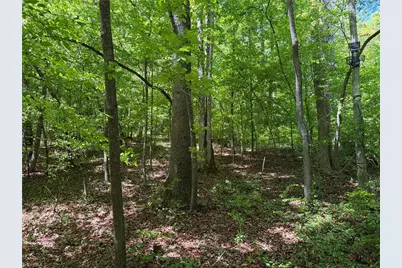 8186 Old 60, Roaring River, NC 28697 - Photo 28