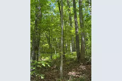 8186 Old 60, Roaring River, NC 28697 - Photo 30