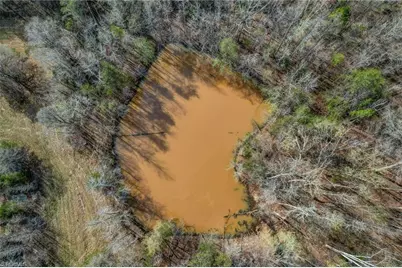 1836 Nc Highway 87, Reidsville, NC 27320 - Photo 50