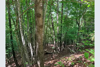 Lot 132A Warren Way, Purlear, NC 28665 - Photo 6