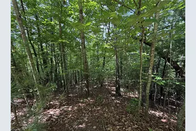 Lot 132A Warren Way, Purlear, NC 28665 - Photo 2